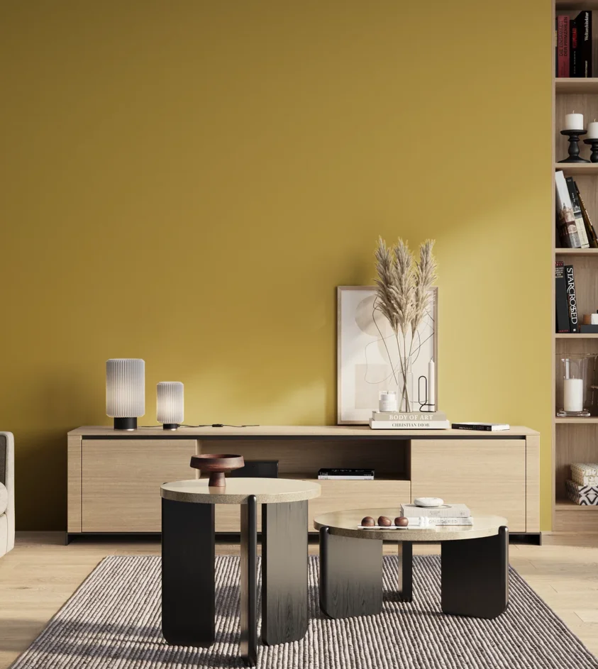 P10_SNIEZKA_salon_01_poranek_GREY_S2050-Y