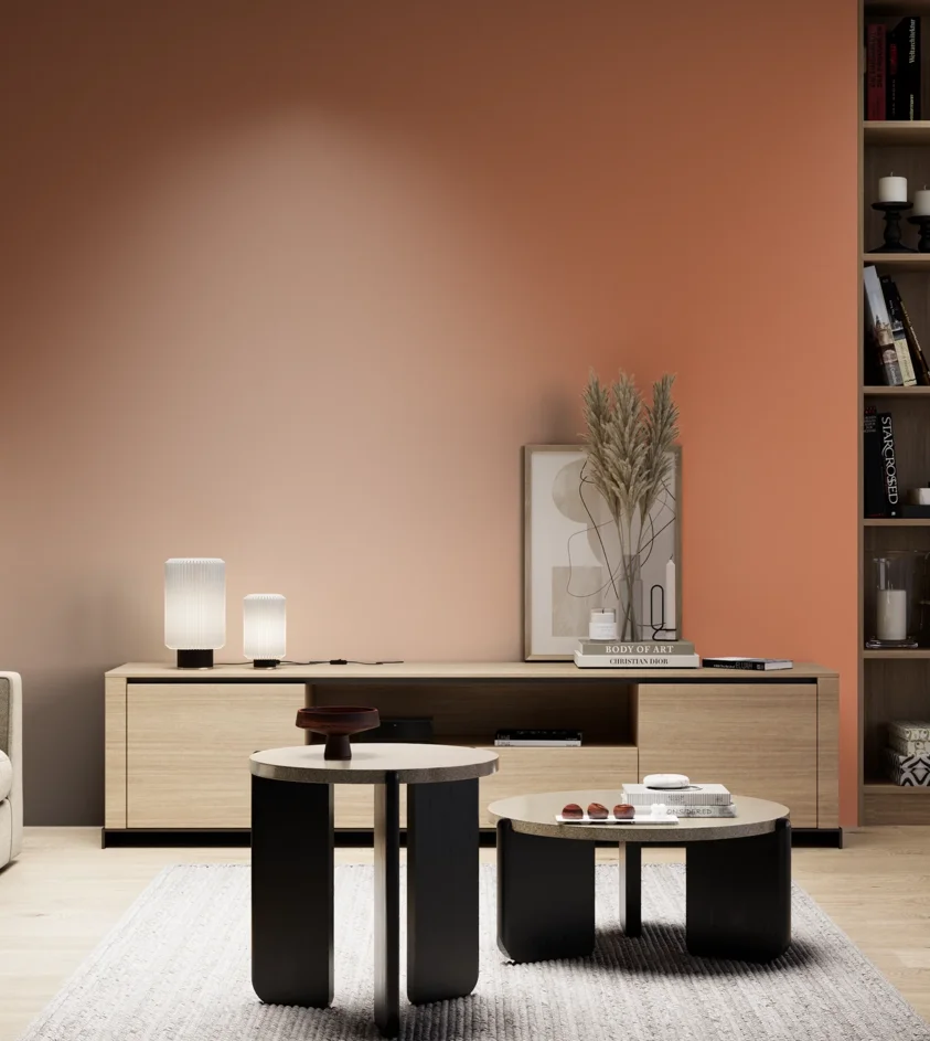 P10_SNIEZKA_salon_05_zimne_GREY_S2050-Y60R