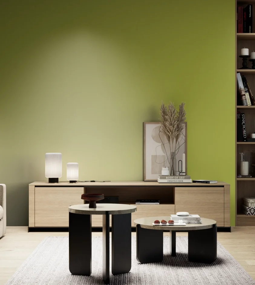 P10_SNIEZKA_salon_05_zimne_GREY_S2060-G60Y
