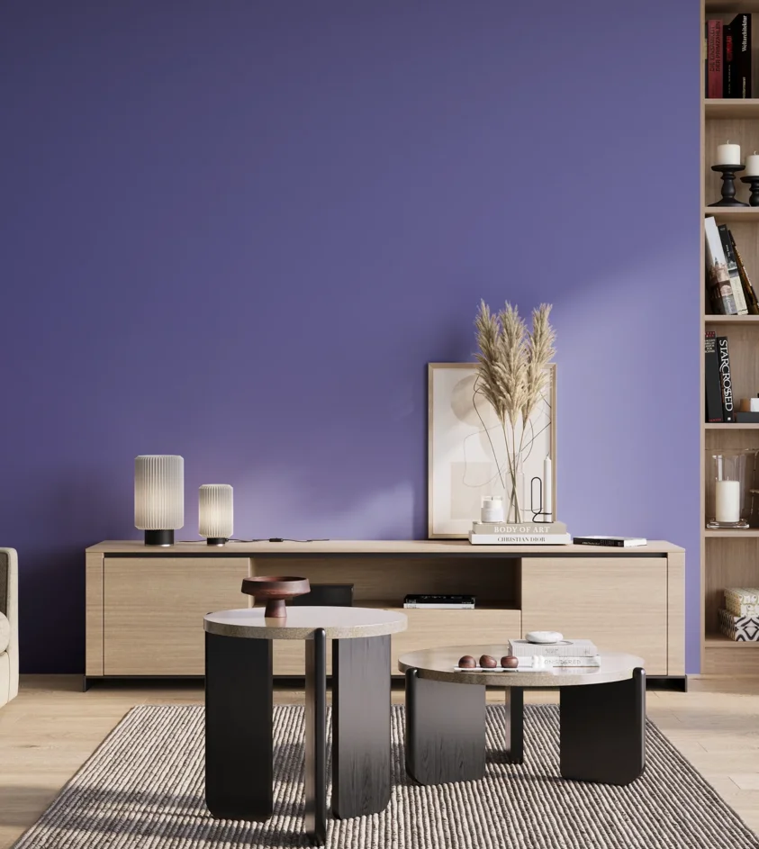 P10_SNIEZKA_salon_01_poranek_GREY_S2060-R70B