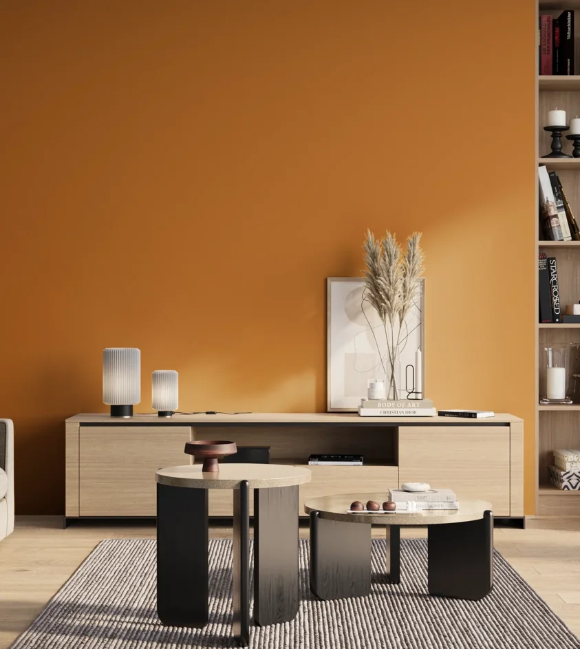 P10_SNIEZKA_salon_01_poranek_GREY_S2070-Y30R
