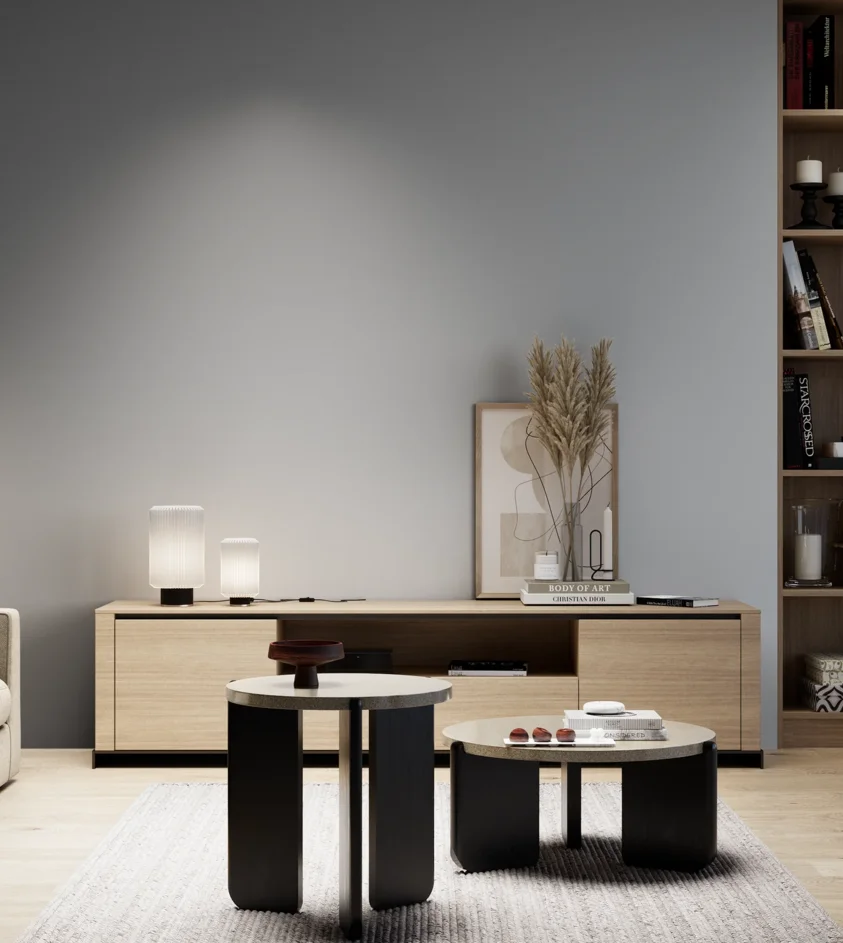 P10_SNIEZKA_salon_05_zimne_GREY_S3005-R80B
