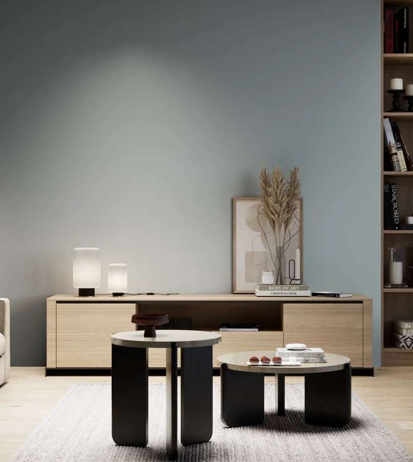 P10_SNIEZKA_salon_05_zimne_GREY_S3010-B10G