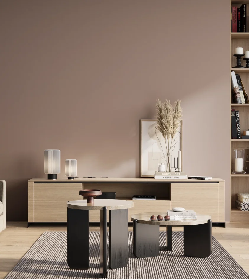 P10_SNIEZKA_salon_01_poranek_GREY_S3010-Y90R