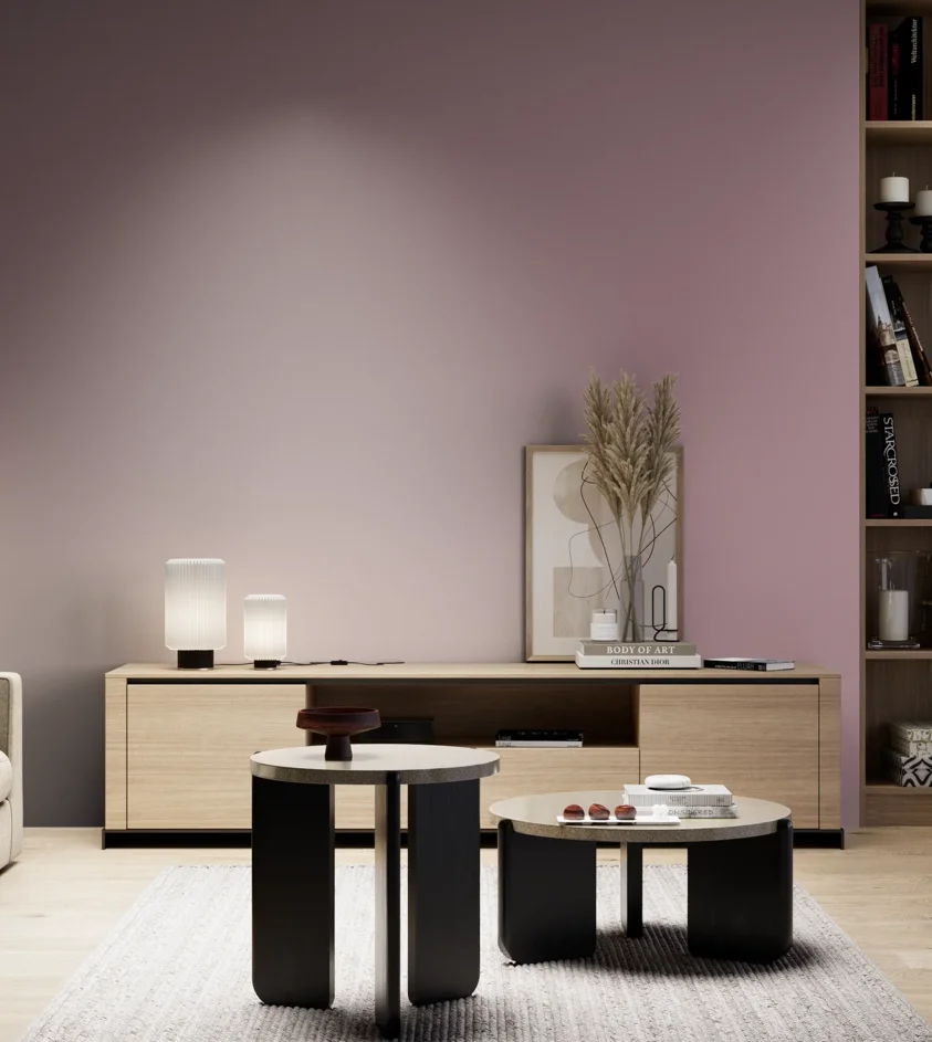 P10_SNIEZKA_salon_05_zimne_GREY_S3020-R20B