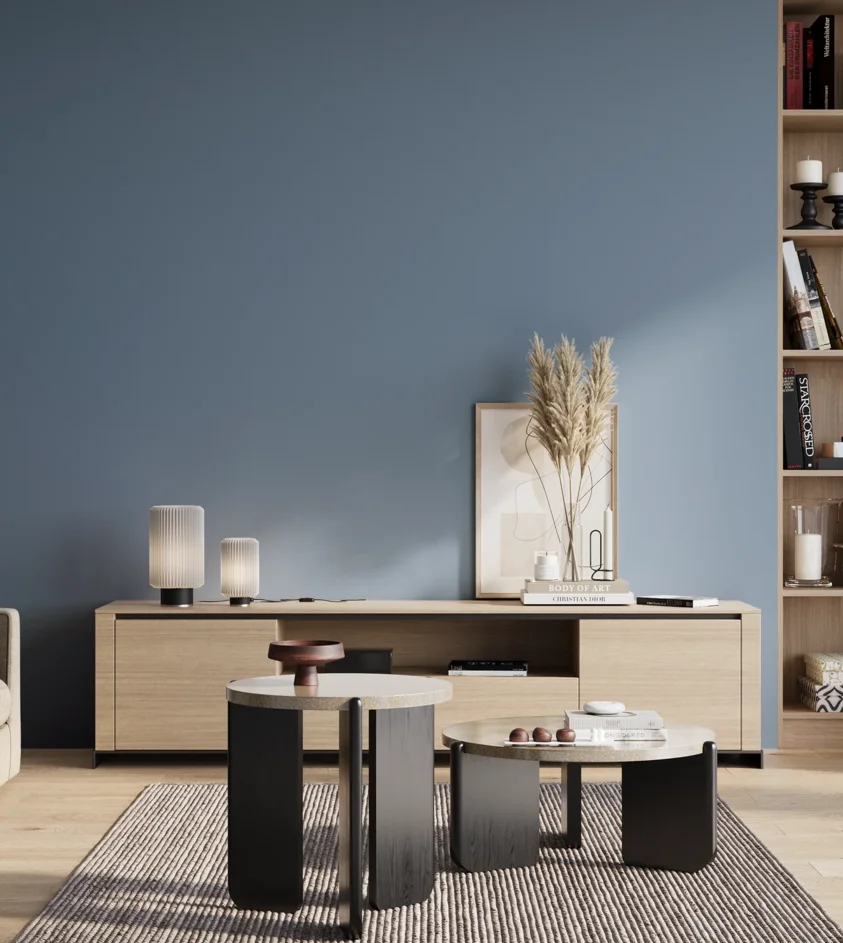 P10_SNIEZKA_salon_01_poranek_GREY_S3030-R90B