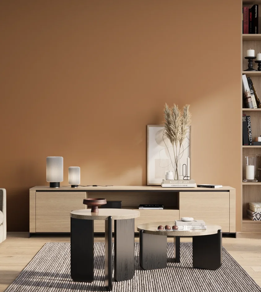 P10_SNIEZKA_salon_01_poranek_GREY_S3030-Y40R
