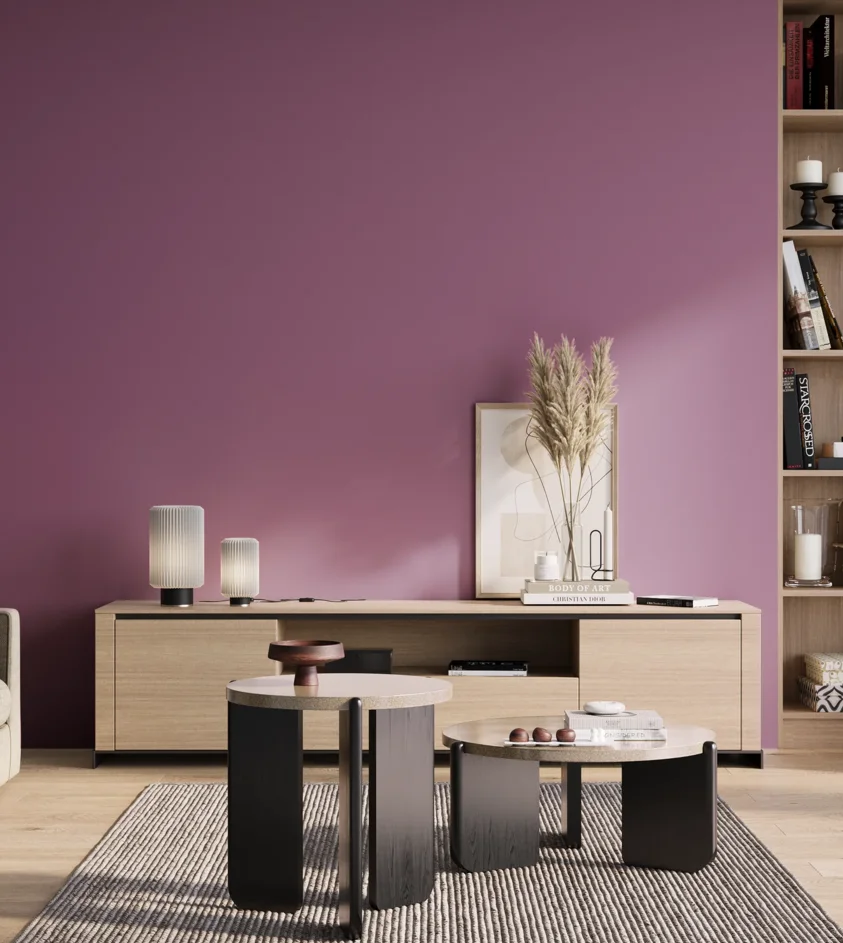 P10_SNIEZKA_salon_01_poranek_GREY_S3040-R40B