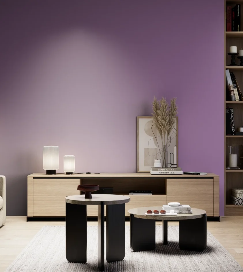 P10_SNIEZKA_salon_05_zimne_GREY_S3040-R50B