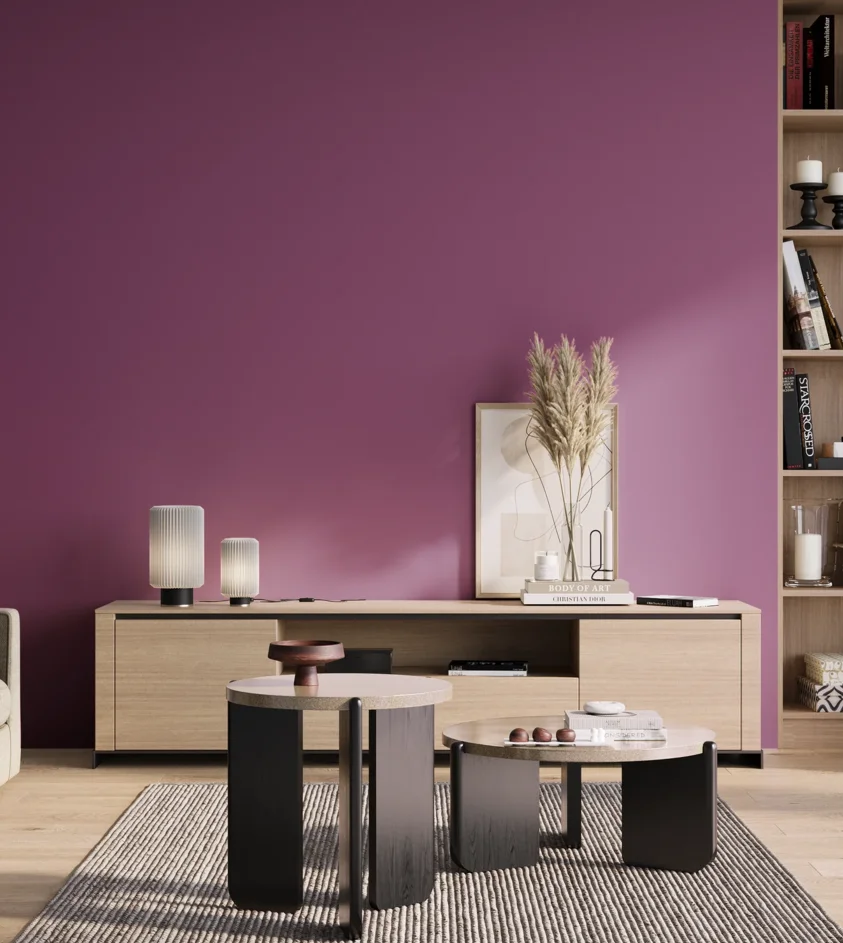 P10_SNIEZKA_salon_01_poranek_GREY_S3050-R40B
