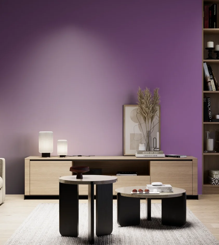 P10_SNIEZKA_salon_05_zimne_GREY_S3050-R50B