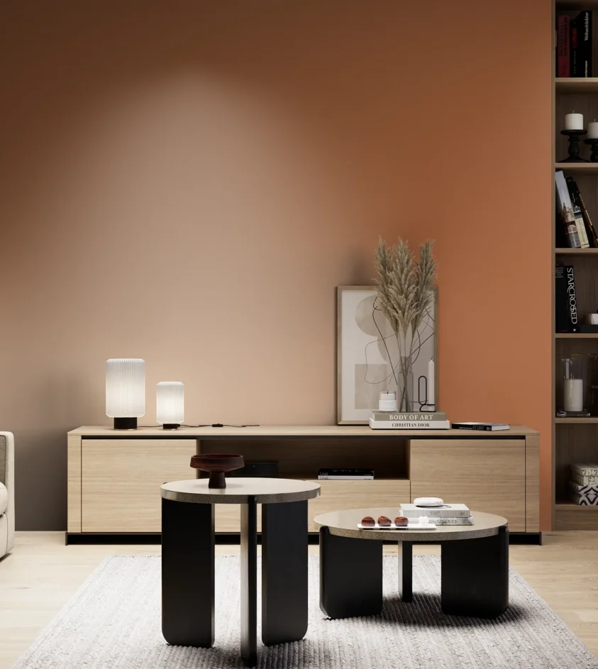P10_SNIEZKA_salon_05_zimne_GREY_S3050-Y50R