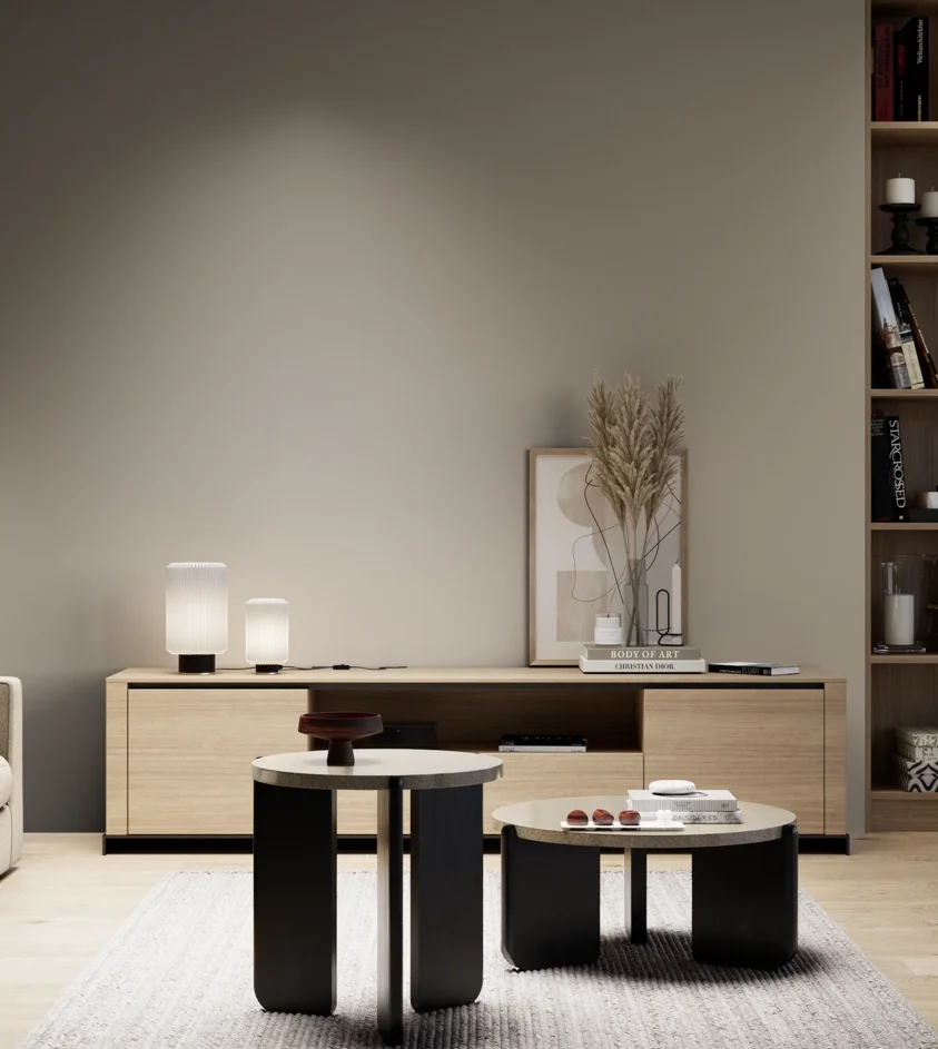 P10_SNIEZKA_salon_05_zimne_GREY_S4005-Y20R