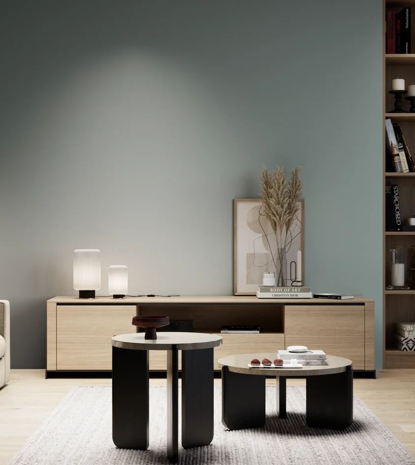 P10_SNIEZKA_salon_05_zimne_GREY_S4010-B50G