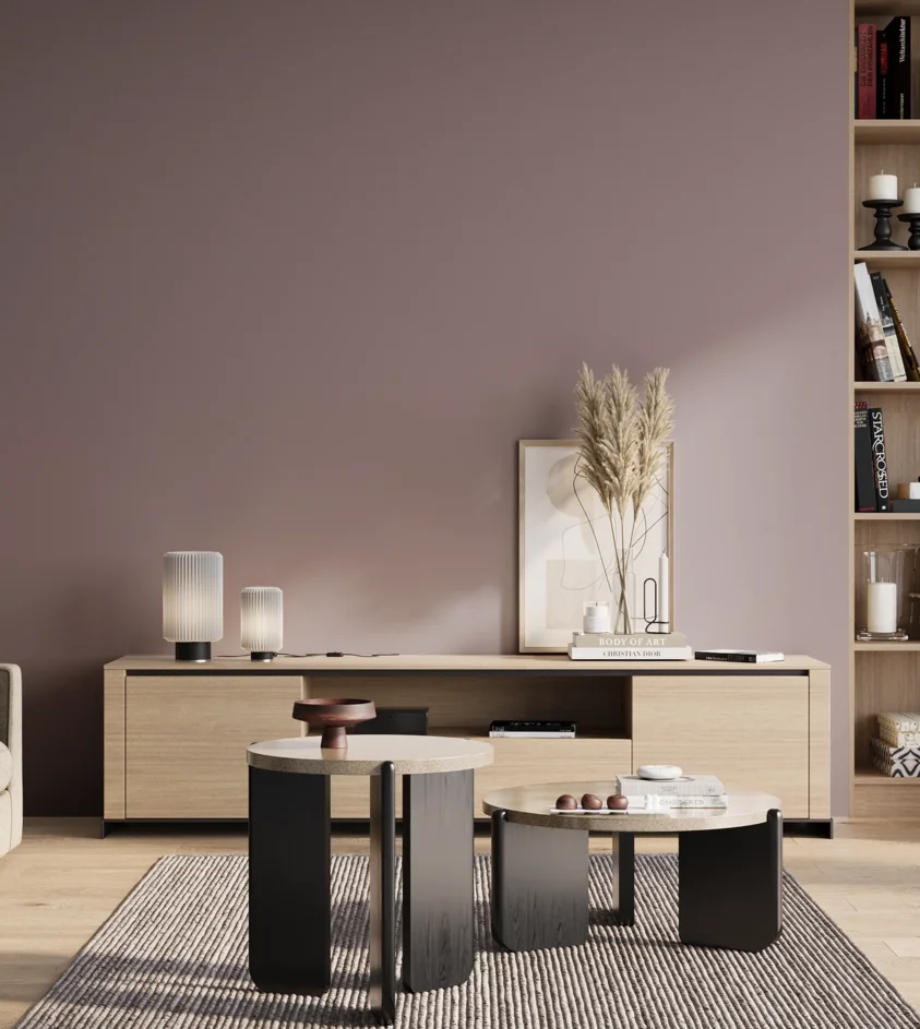 P10_SNIEZKA_salon_01_poranek_GREY_S4010-R30B