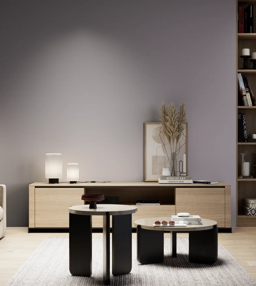 P10_SNIEZKA_salon_05_zimne_GREY_S4010-R50B
