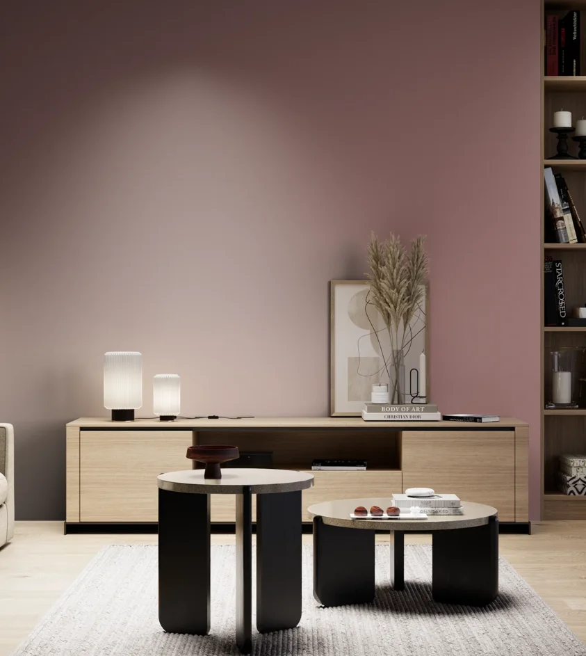 P10_SNIEZKA_salon_05_zimne_GREY_S4020-R