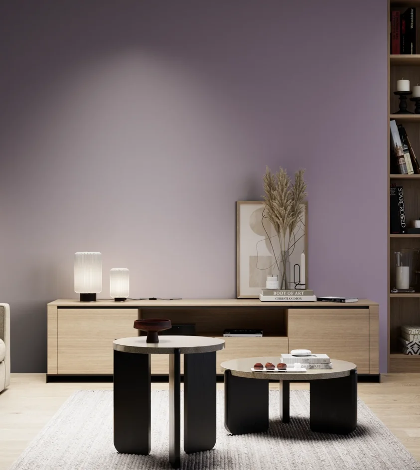 P10_SNIEZKA_salon_05_zimne_GREY_S4020-R50B