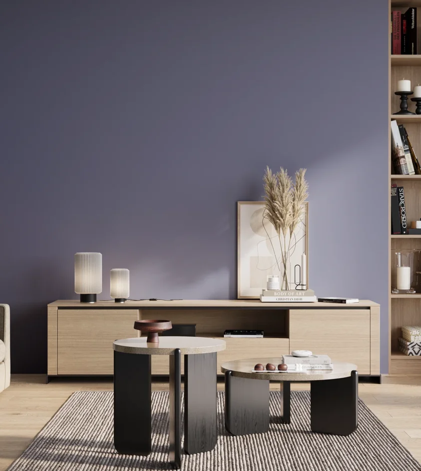 P10_SNIEZKA_salon_01_poranek_GREY_S4030-R70B