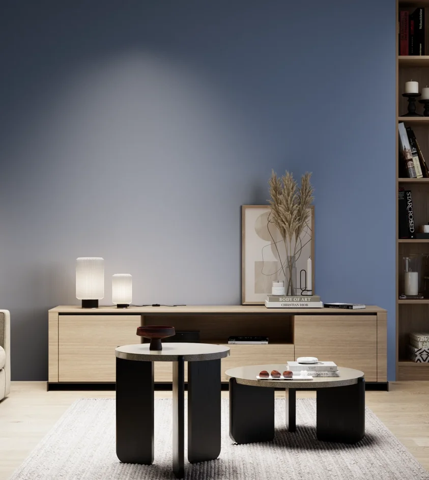 P10_SNIEZKA_salon_05_zimne_GREY_S4030-R80B