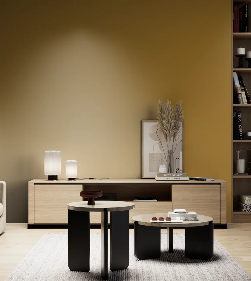 P10_SNIEZKA_salon_05_zimne_GREY_S4055-Y10R