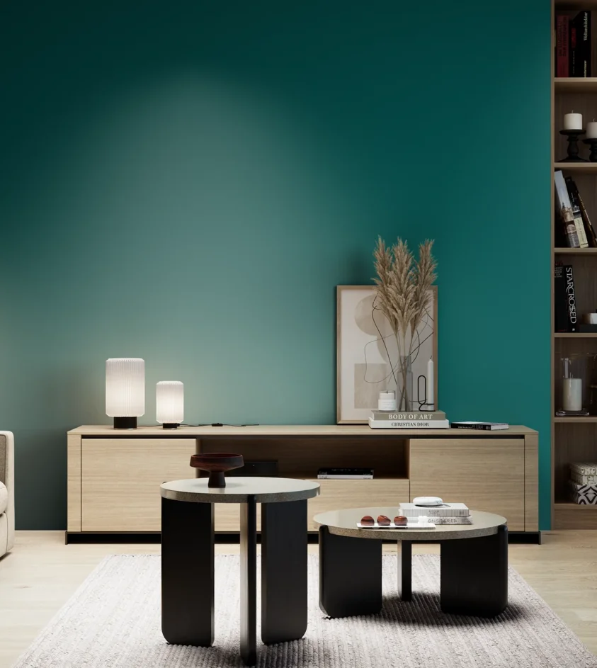 P10_SNIEZKA_salon_05_zimne_GREY_S4550-B50G
