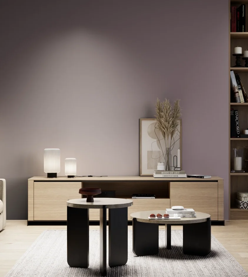 P10_SNIEZKA_salon_05_zimne_GREY_S5010-R30B