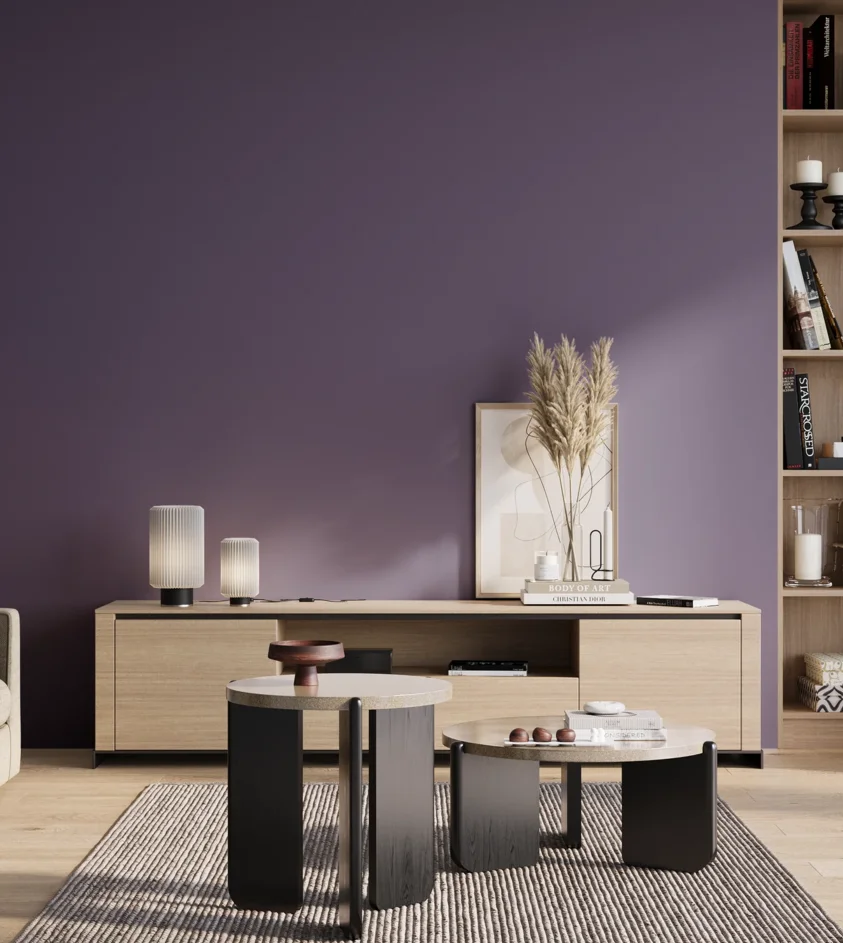 P10_SNIEZKA_salon_01_poranek_GREY_S5030-R60B