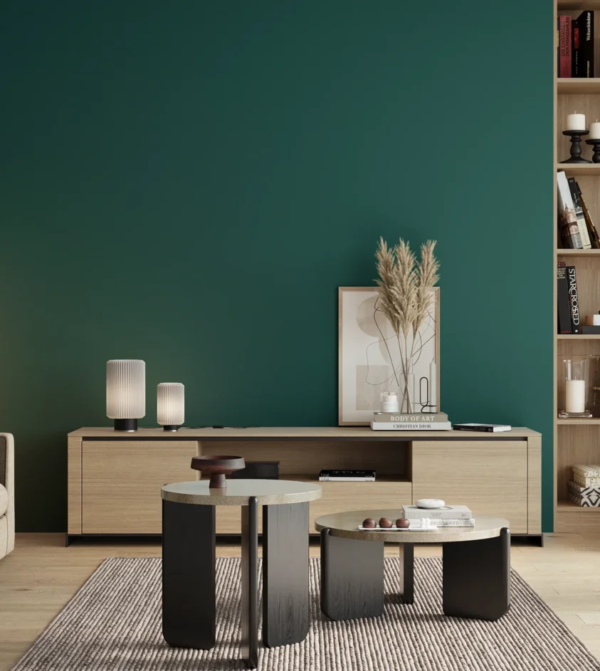 P10_SNIEZKA_salon_00_neutral_GREY_S5540-B50G
