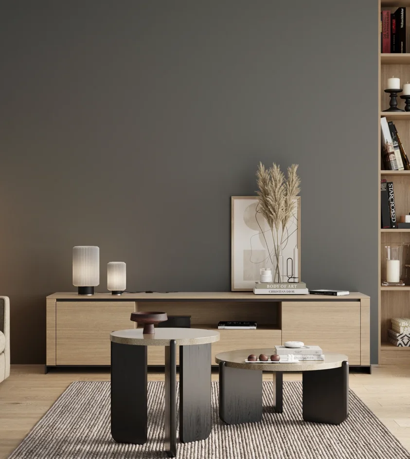 P10_SNIEZKA_salon_00_neutral_GREY_S6005-B20G