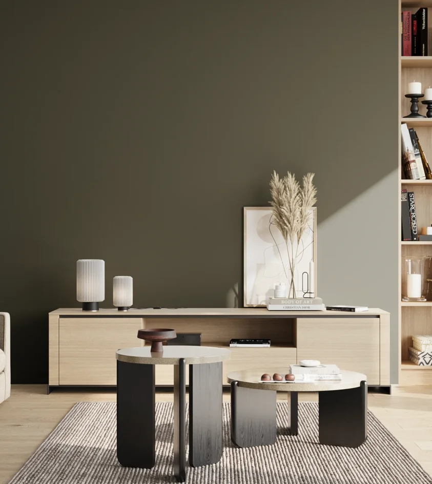 P10_SNIEZKA_salon_02_poludnie_GREY_S8010-G50Y