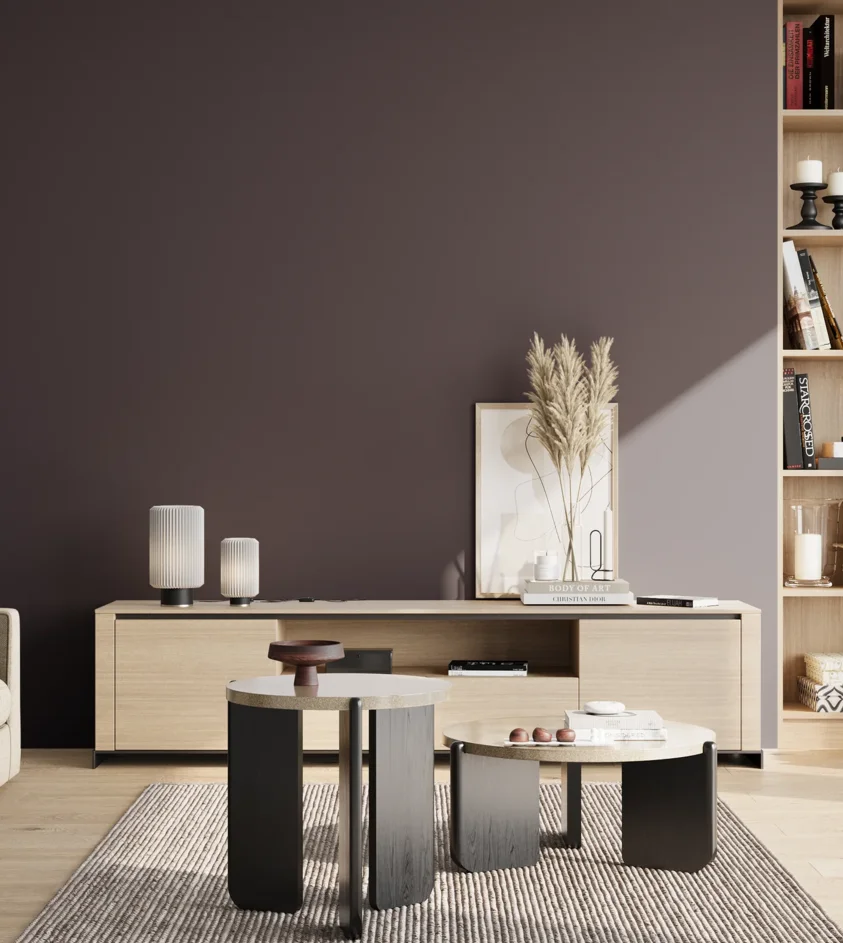 P10_SNIEZKA_salon_02_poludnie_GREY_S8010-R50B