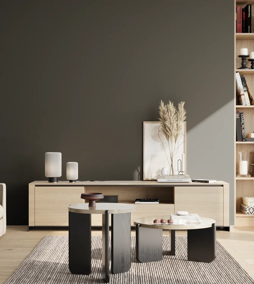 P10_SNIEZKA_salon_02_poludnie_GREY_S8502-G