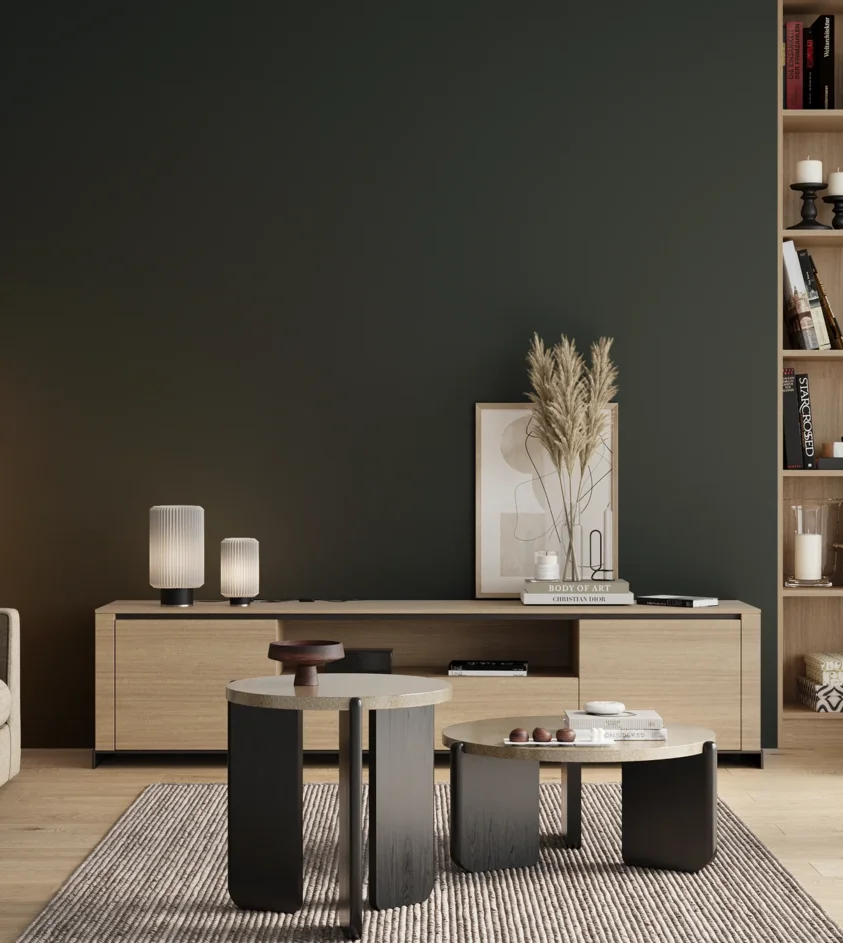 P10_SNIEZKA_salon_00_neutral_GREY_S8005-B50G