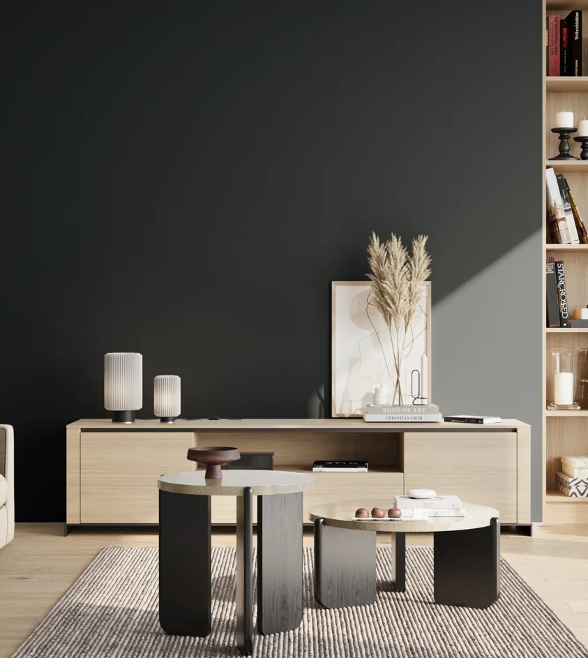 P10_SNIEZKA_salon_02_poludnie_GREY_S8505-B