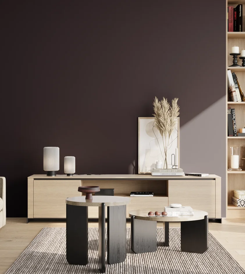 P10_SNIEZKA_salon_02_poludnie_GREY_S8505-R50B