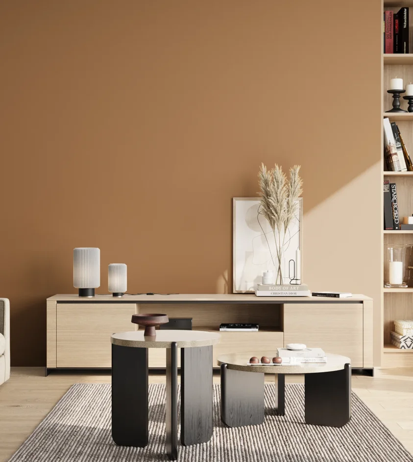 P10_SNIEZKA_salon_02_poludnie_GREY_RAL1011