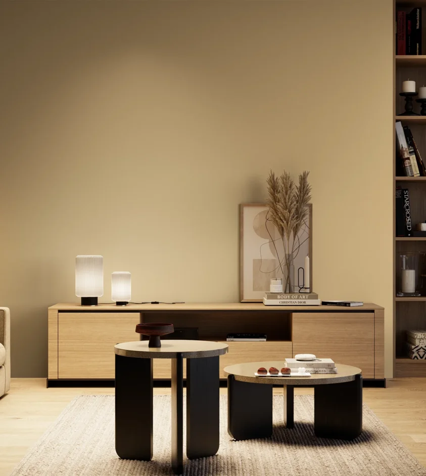P10_SNIEZKA_salon_04_cieple_GREY_RAL1014