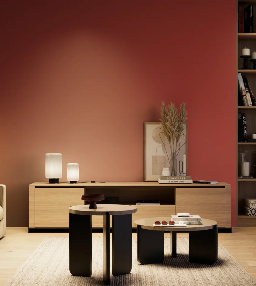 P10_SNIEZKA_salon_04_cieple_GREY_RAL3001