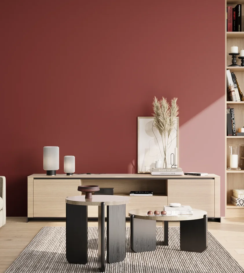 P10_SNIEZKA_salon_02_poludnie_GREY_RAL3003