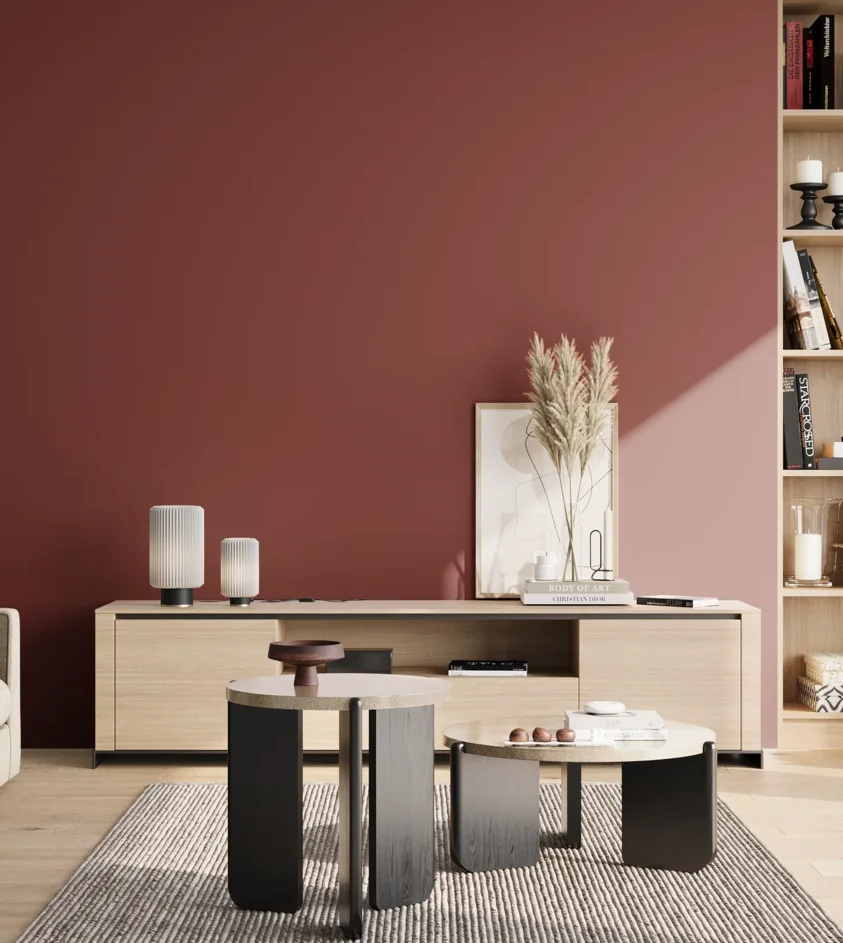 P10_SNIEZKA_salon_02_poludnie_GREY_RAL3011