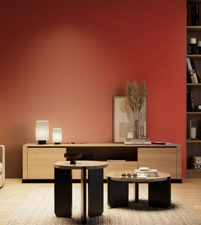 P10_SNIEZKA_salon_04_cieple_GREY_RAL3020