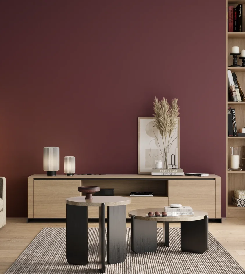 P10_SNIEZKA_salon_00_neutral_GREY_RAL4004