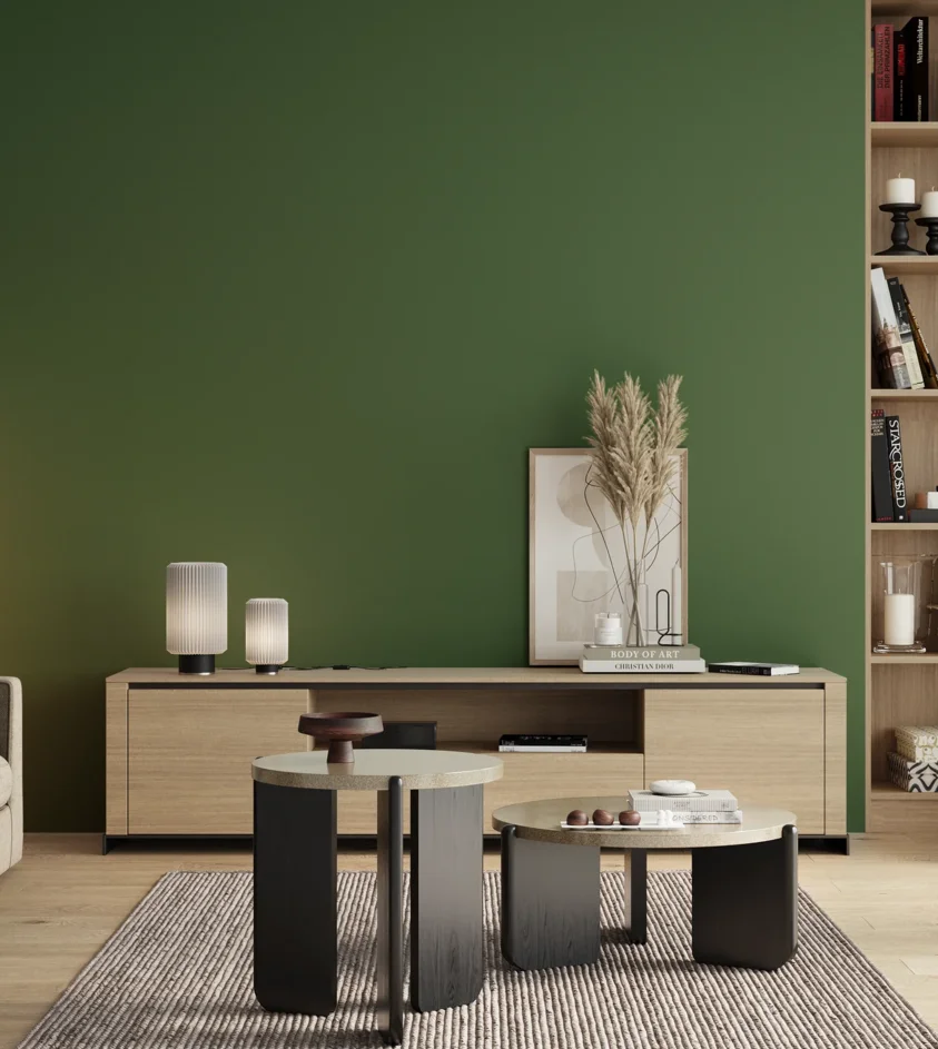 P10_SNIEZKA_salon_00_neutral_GREY_RAL6001