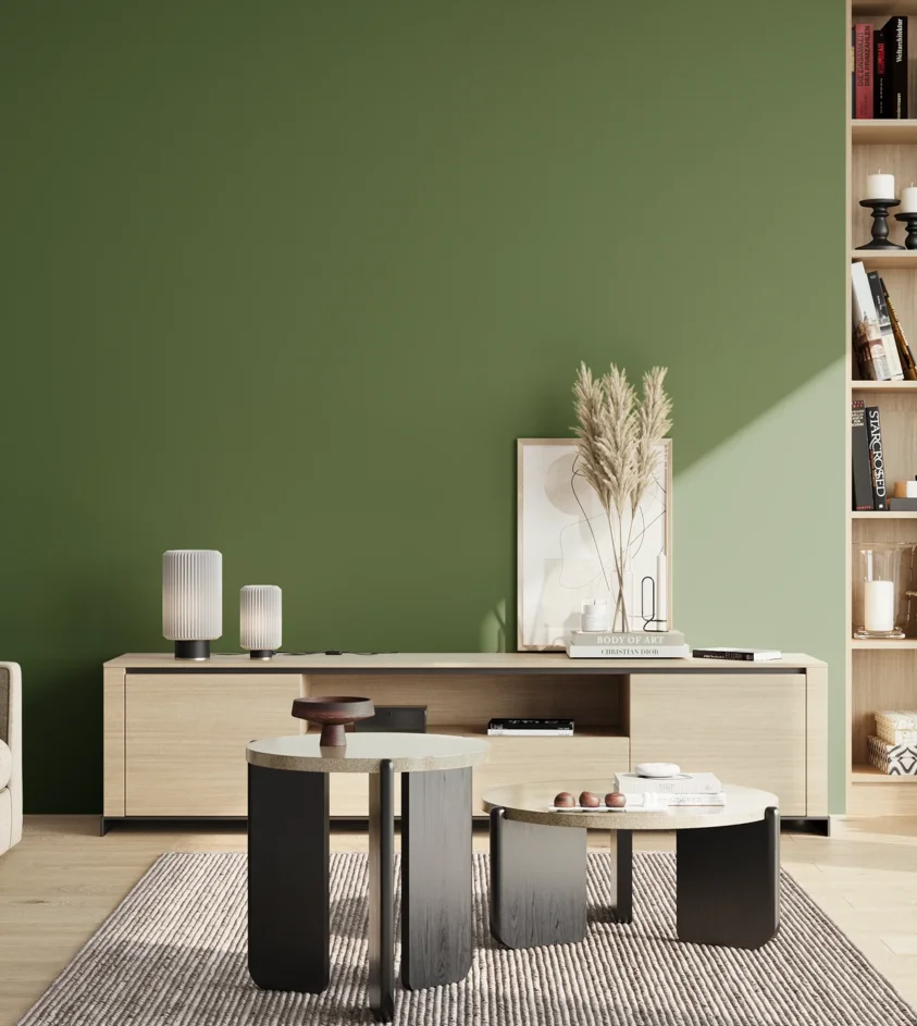 P10_SNIEZKA_salon_02_poludnie_GREY_RAL6010