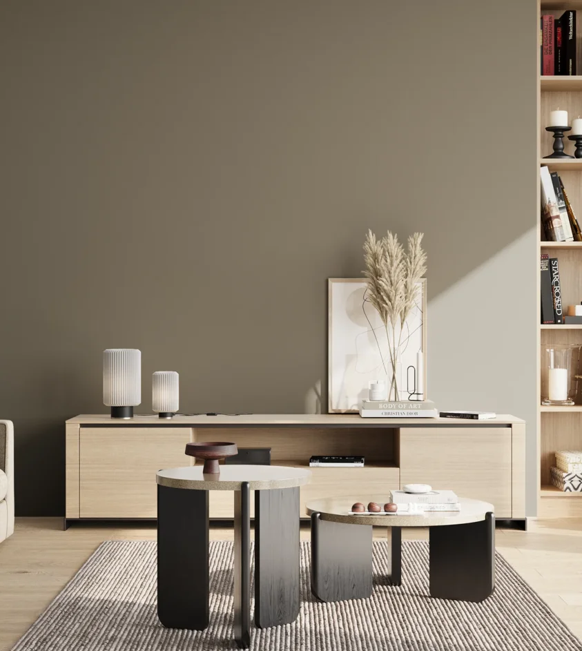 P10_SNIEZKA_salon_02_poludnie_GREY_RAL7003