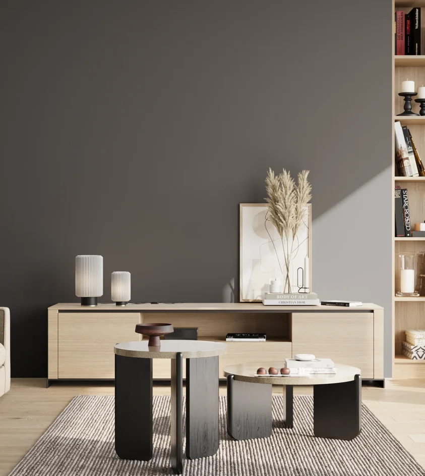 P10_SNIEZKA_salon_02_poludnie_GREY_RAL7024