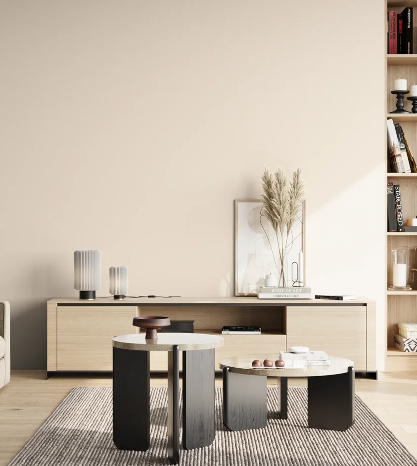 P10_SNIEZKA_salon_02_poludnie_GREY_C2