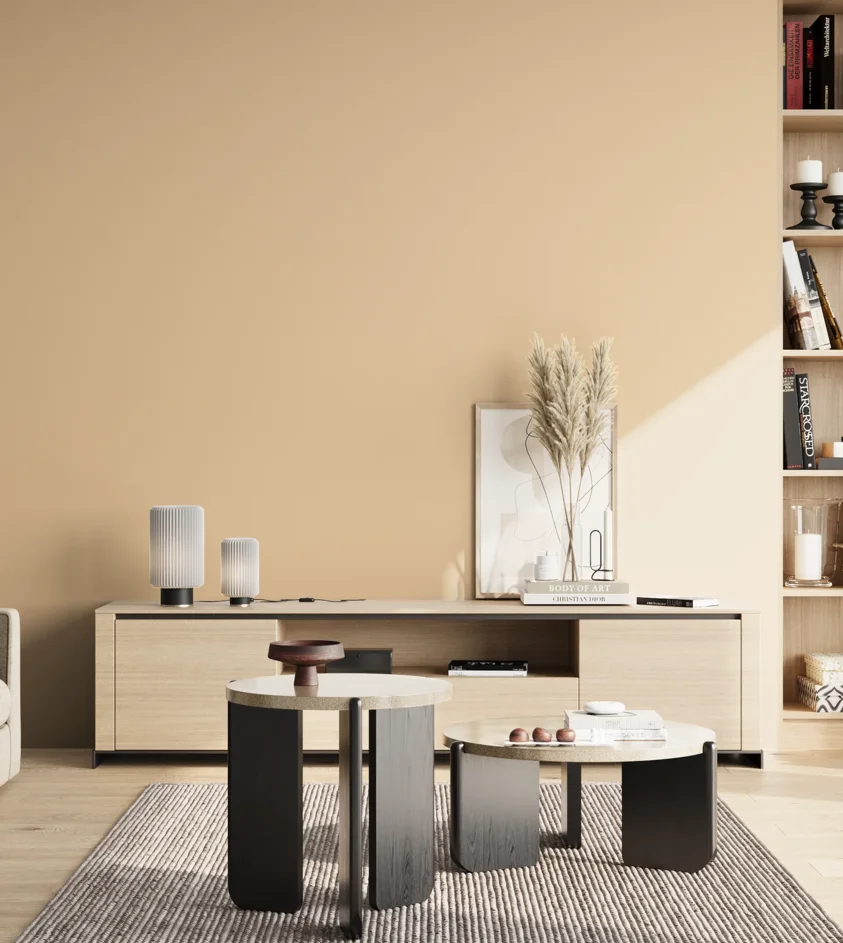 P10_SNIEZKA_salon_02_poludnie_GREY_C6