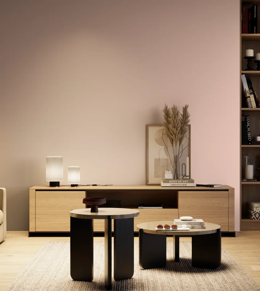 P10_SNIEZKA_salon_04_cieple_GREY_C33